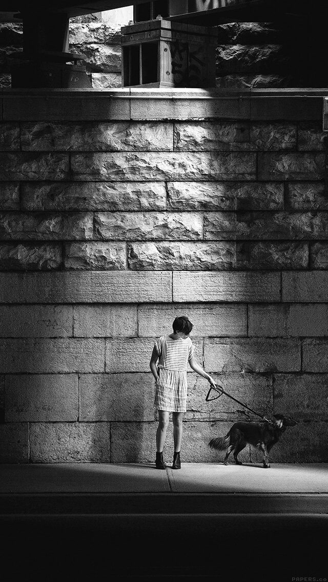 dog-street-dark-bw-matthew-wiebe-iphone-5