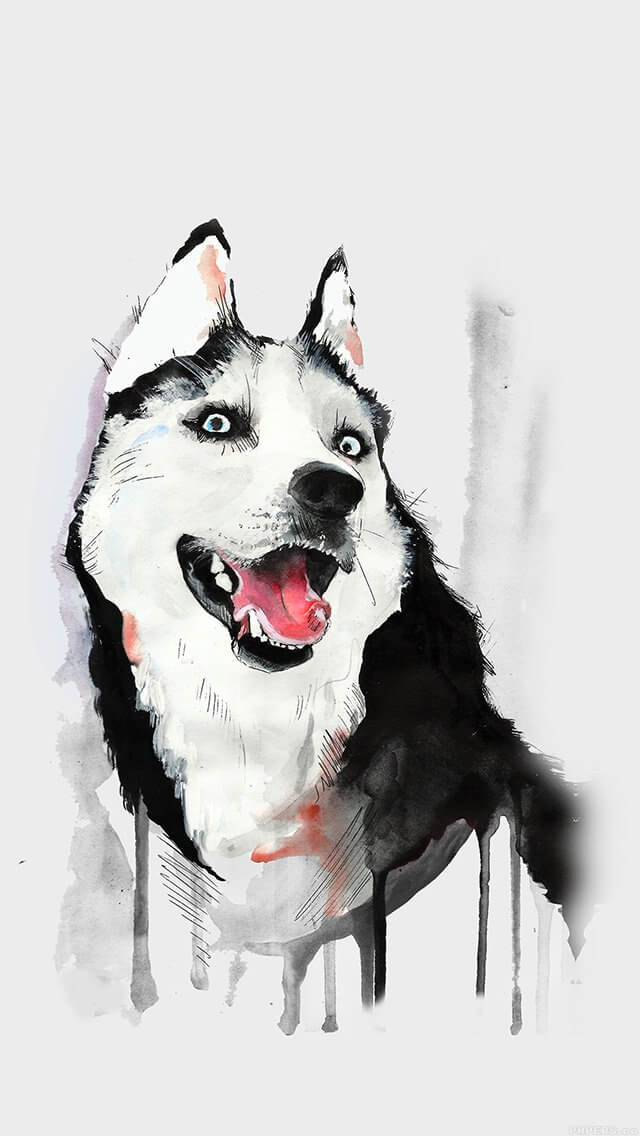 husky-animal-illust-watercolor-iphone-5