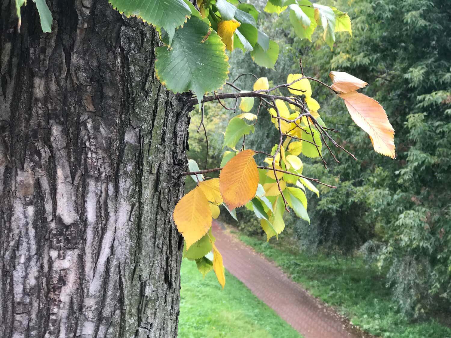 Снято на iPhone 7 Plus