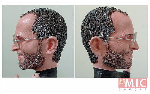 steve's head