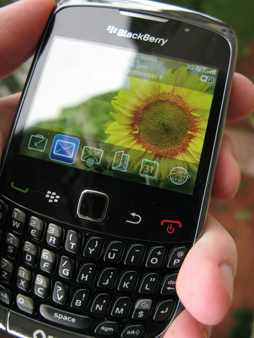 Blackberry установили новый рекорд. Blackberry установили новый рекорд. Фото.