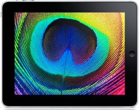 Apple определилась с дисплеем iPad 2. Apple определилась с дисплеем iPad 2. Фото.