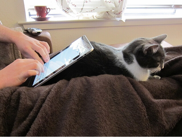 Домашний любимец iPad Домашний любимец iPad