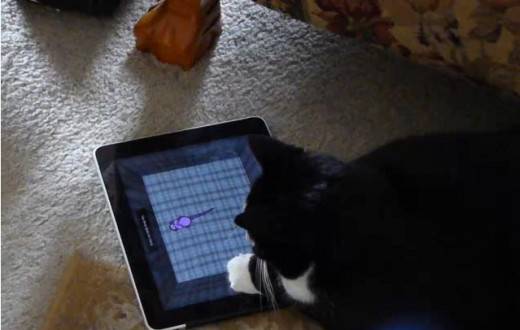 Приложения iPad есть для всех пользователей