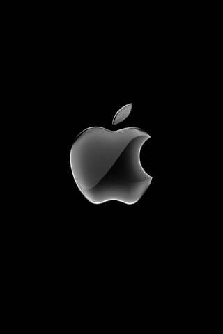 AppleLogo-SleekBlack-322