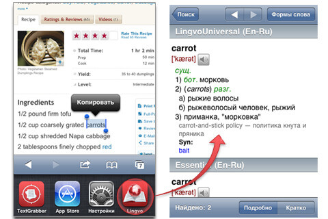 Lingvo Dictionaries 2.0: перевод на лету (Конкурс). Lingvo Dictionaries 2.0: перевод на лету (Конкурс). Фото.