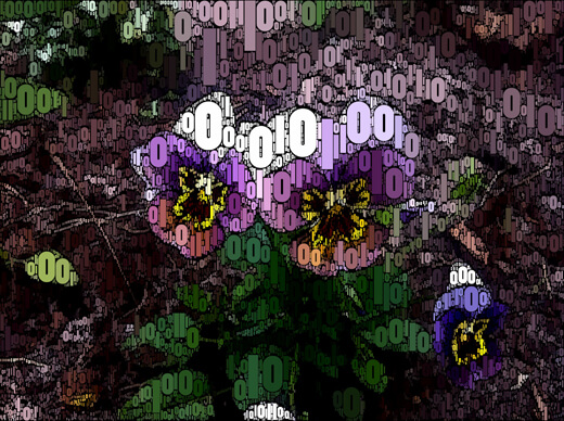 WordFoto: твори искусство. WordFoto: твори искусство. Фото.