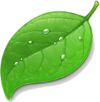 coda_app