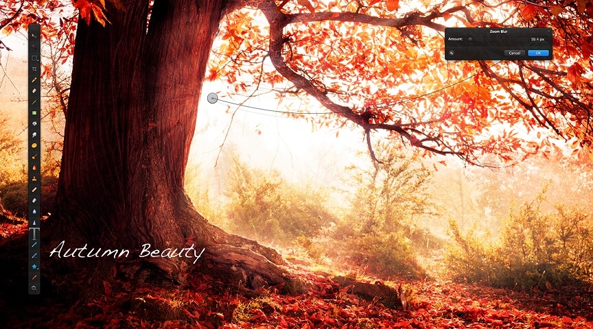 autumn autumn