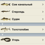 Обзор Рыбалка. Обзор Рыбалка. Фото.