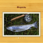 Обзор Рыбалка. Обзор Рыбалка. Фото.