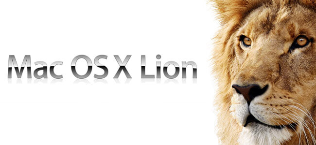 lion lion