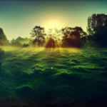 Modus vivendi: iPhone и чувство прекрасного. Modus vivendi: iPhone и чувство прекрасного. Фото.