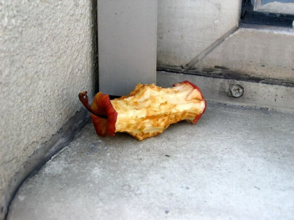 apple_core-580x435 apple_core-580x435