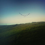 Modus vivendi: iPhone и чувство прекрасного. Modus vivendi: iPhone и чувство прекрасного. Фото.