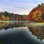 Modus vivendi: iPhone и чувство прекрасного. Modus vivendi: iPhone и чувство прекрасного. Фото.