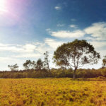 Modus vivendi: iPhone и чувство прекрасного. Modus vivendi: iPhone и чувство прекрасного. Фото.