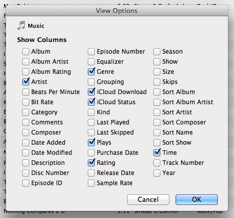itunesviewoptions itunesviewoptions