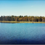 Modus vivendi: iPhone и чувство прекрасного. Modus vivendi: iPhone и чувство прекрасного. Фото.