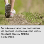 Мир фактов — просто и интересно. Мир фактов — просто и интересно. Фото.