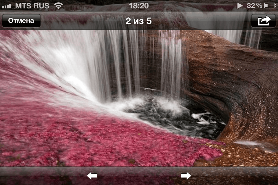 pic_3 pic_3