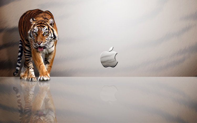 OS X Lion OS X Lion