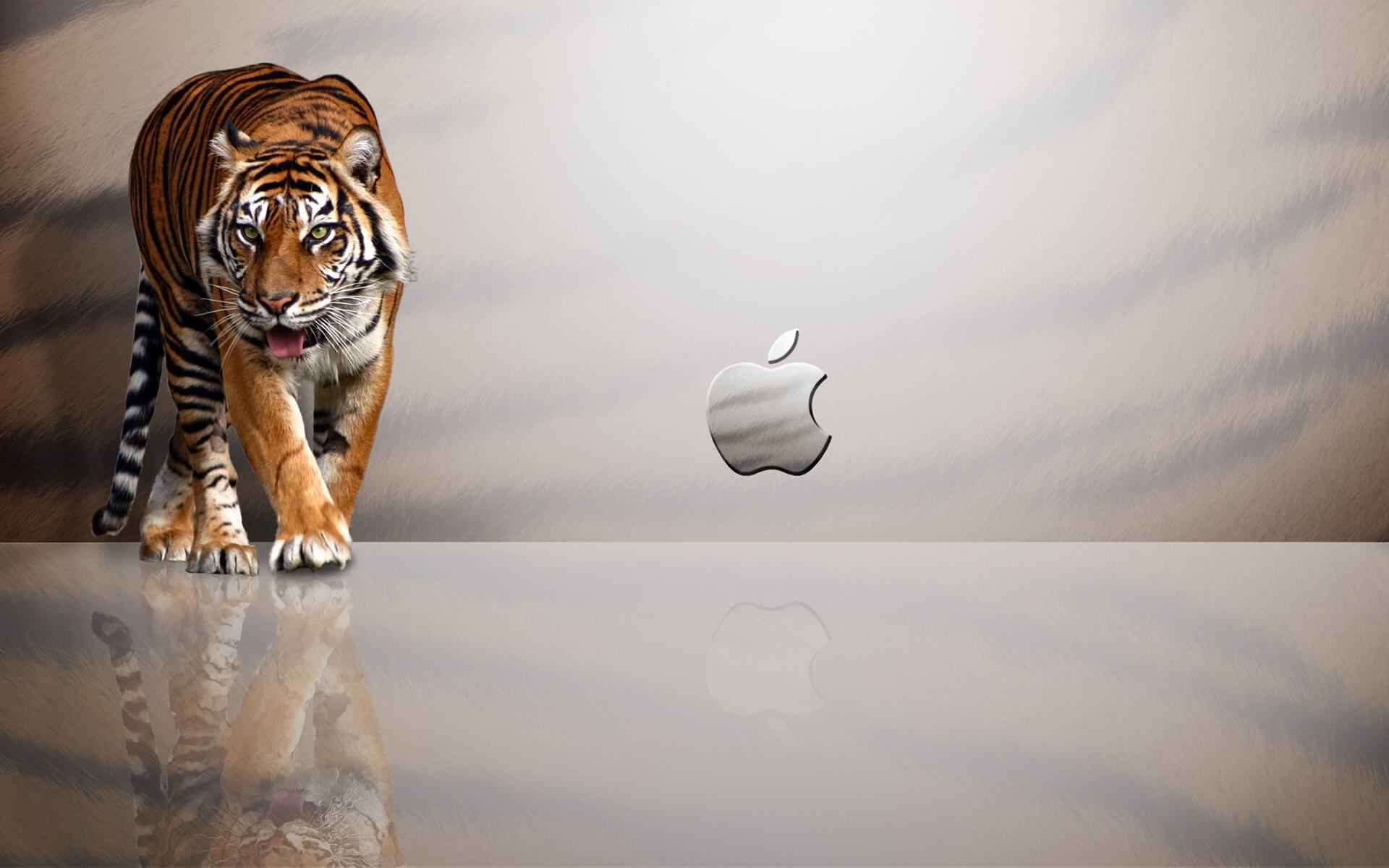 OS X Lion OS X Lion