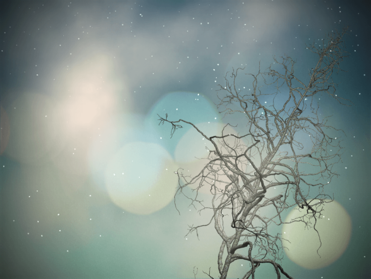 Shorelines: бесполезно, но красиво. Фото.