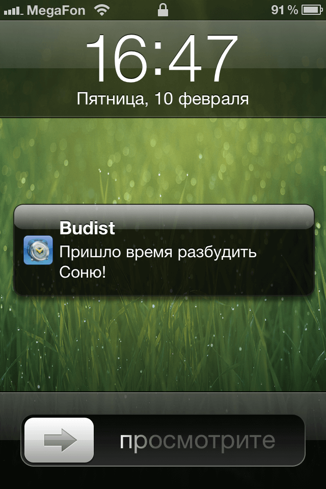 Budist 008 Budist 008