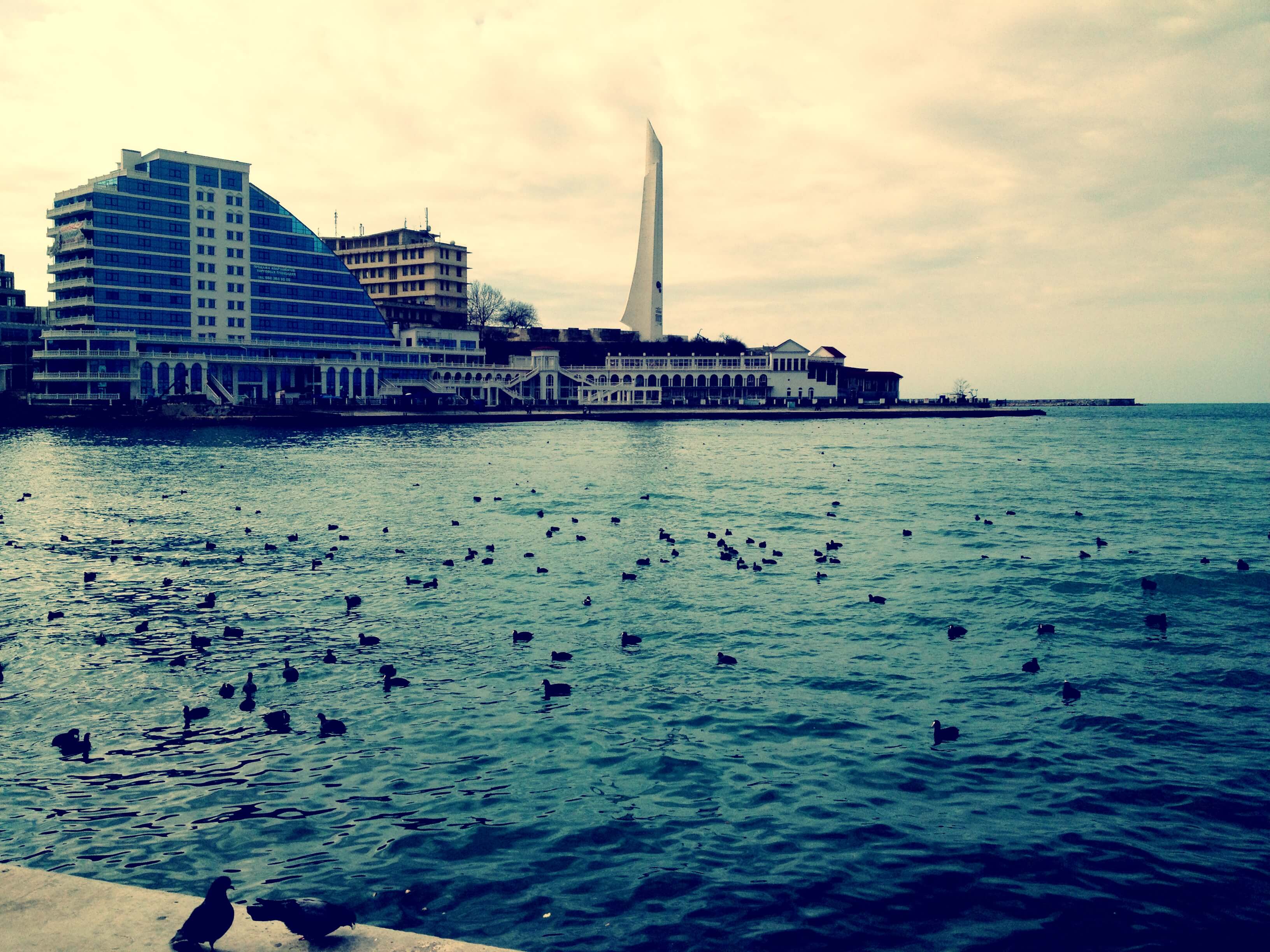 IMG_0544 IMG_0544