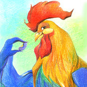 cock cock
