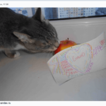 [Конкурс] Второй тур. Выиграй моддинговый iPhone 4S от ЭтоСервис и Appleinsider.ru. Второй тур — «Размер имеет значение». Фото.