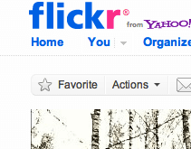 5 Star in Flickr 5 Star in Flickr