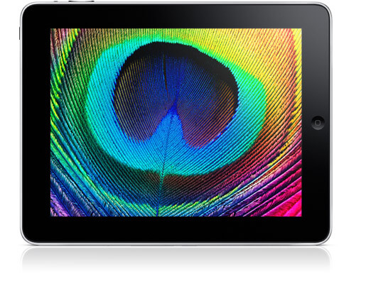 Retina Retina