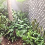 Много живых фотографий с нового iPad. Много живых фотографий с нового iPad. Фото.