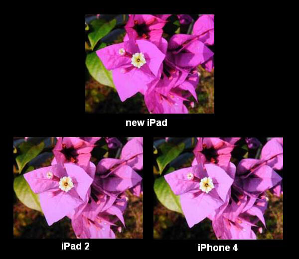 ipad ipad