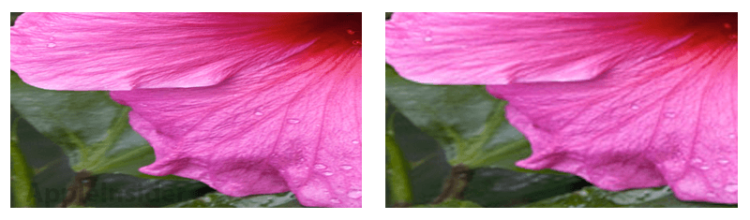 Retina - 1 Retina - 1