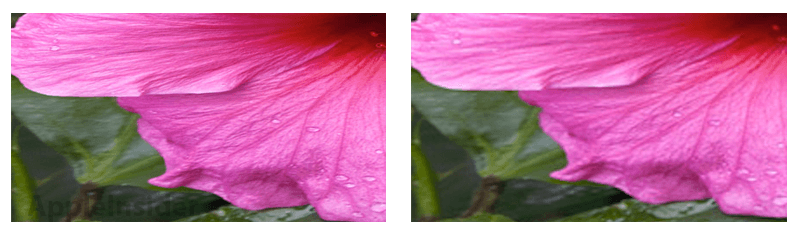 Retina - 1 Retina - 1