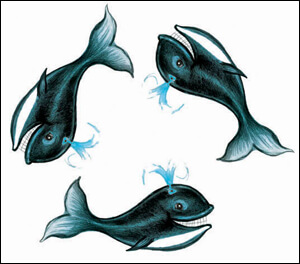 whale whale