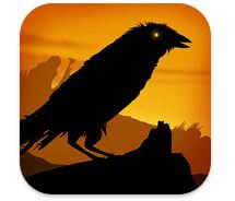 Crow Crow