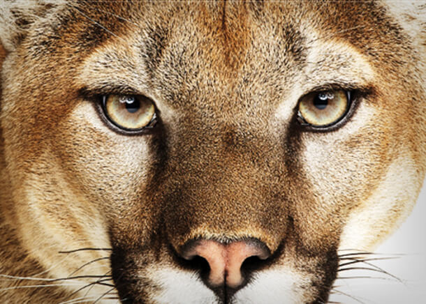 OS X Mountain Lion OS X Mountain Lion