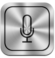 Voice Assistant Voice Assistant