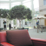 Хотите увидеть, где творится магия? Штаб-квартира Apple изнутри. Фото.