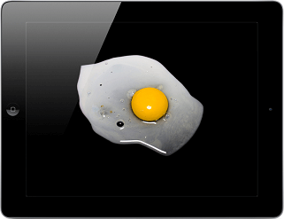 egg1.png-642x4941 egg1.png-642x4941
