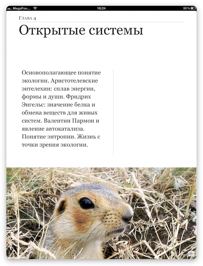 Экология Экология