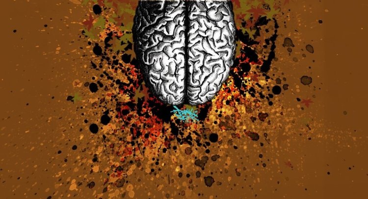 Brain explodes Brain explodes