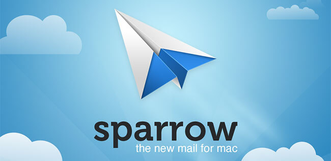 sparrow sparrow