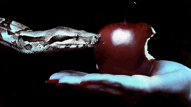 Секреты Apple Секреты Apple