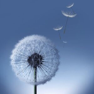 Россияне предпочитают Samsung Galaxy S III. Фото.