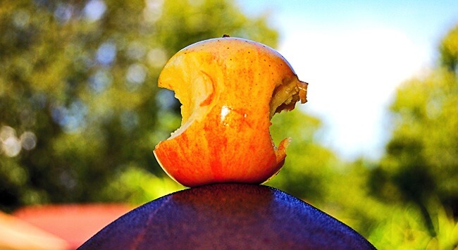 Акционеры Apple встали на тропу войны apple-bite